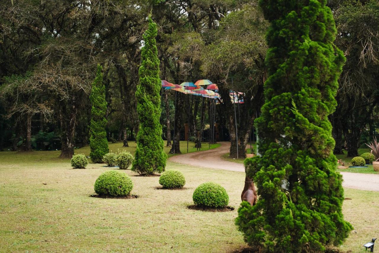 Pousada Roehsler Monte Verde  Exterior foto